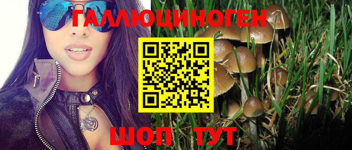Псилоцибиновые грибы MAGIC MUSHROOMS Славянск-на-Кубани