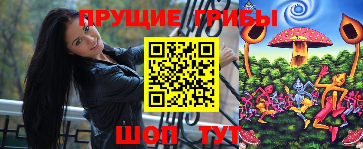 магазин продажи наркотиков  Славянск-на-Кубани  Галлюциногенные грибы Magic Shrooms 